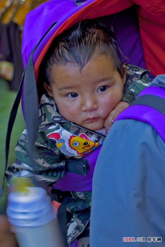 藏族婴儿