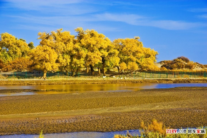 去额济纳31.jpg