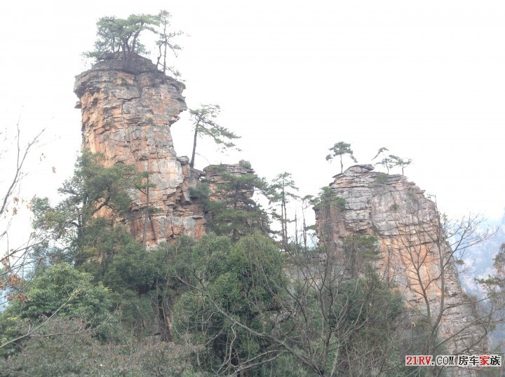 骆驼峰