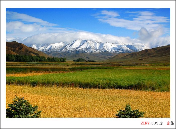 08年秋新疆西藏自驾转悠