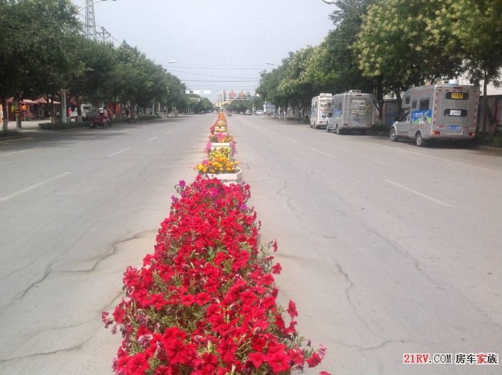 街道花卉