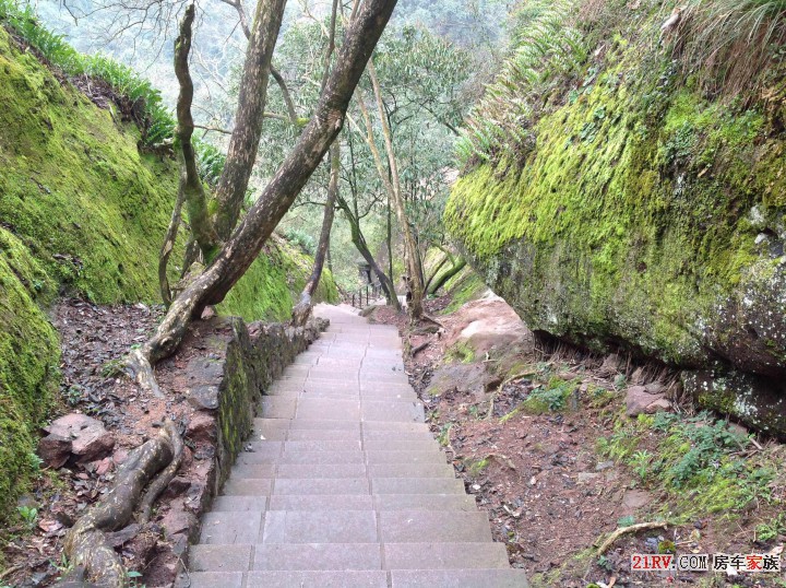 游步道