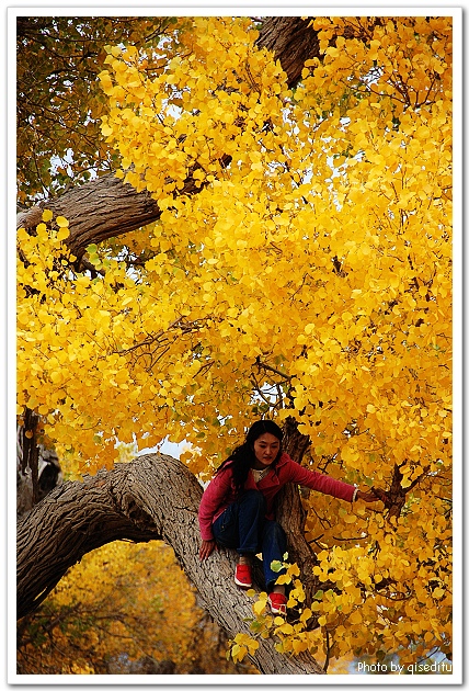 (ZT) 在那里看到最美的秋天――2007年国庆的房车之旅