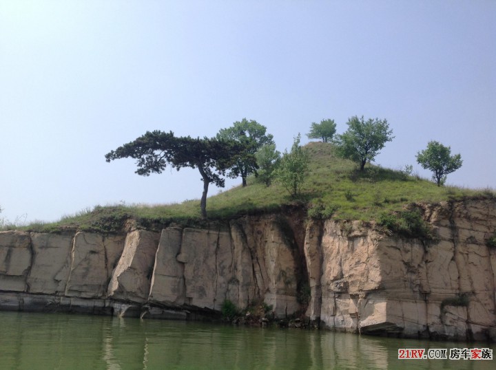 莱茵湖迎客松