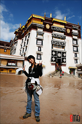 开着房车去西藏 之 布宫像块背景布