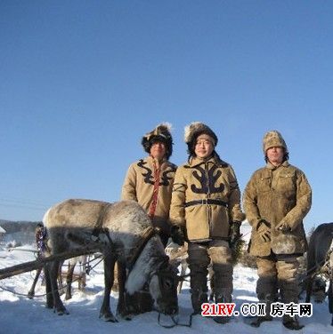 探访最后的使鹿部落 内蒙古400km自驾游